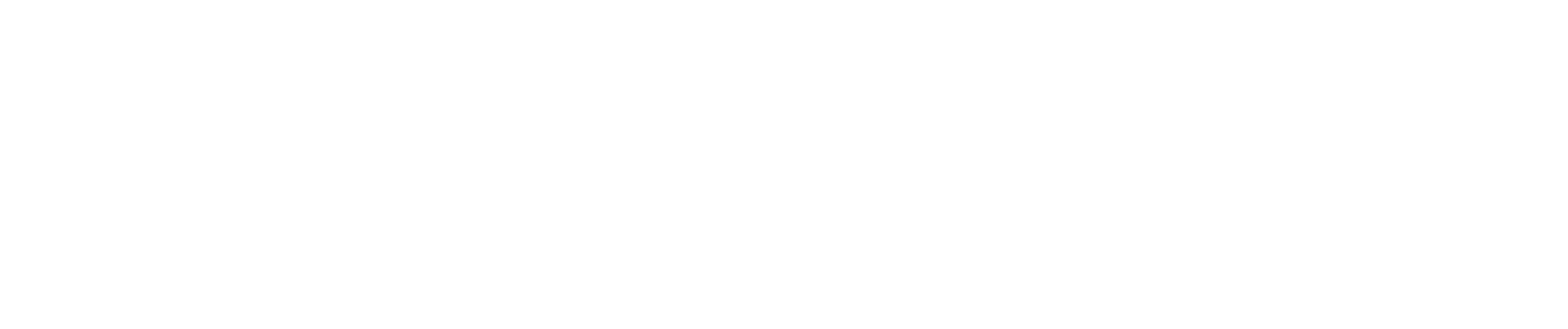 Logo Sebycoz Transport